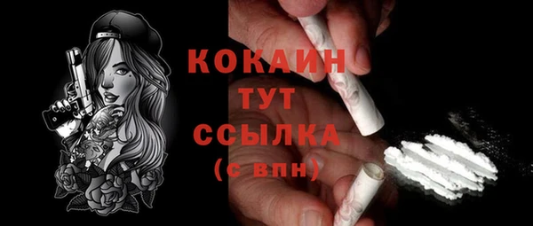 гидропоника Инта