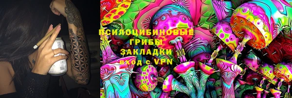 гидропоника Инта