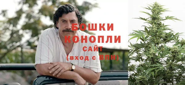 гидропоника Инта