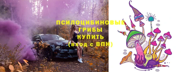 гидропоника Инта